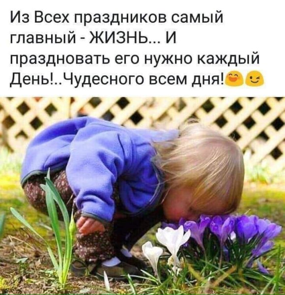 Улыбнись и радуйся жизни