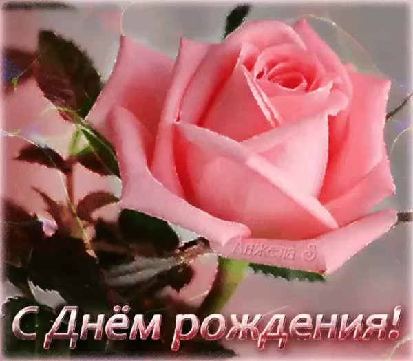 Открытки с коралловыми розами