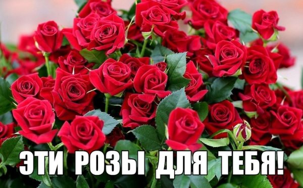 С днем рождения Вика букет