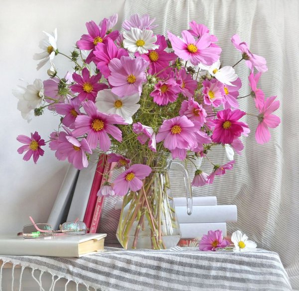 Космея цветы букеты