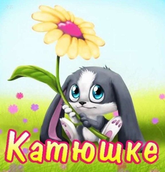 Стих про Катю