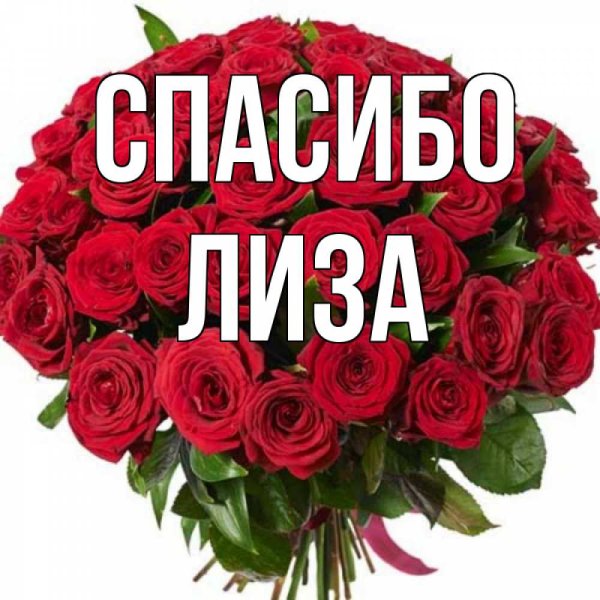Спасибо Лиза