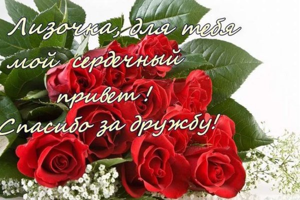 Поздравления с днём рождения Лизе