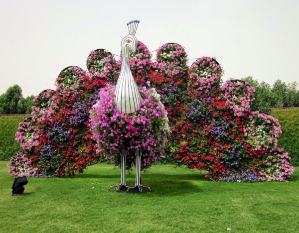 Сингапур, оранжерея 'Flower Dome'.