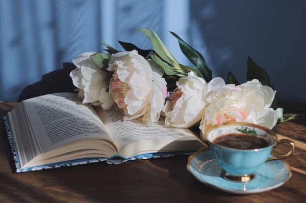 Книга цветы