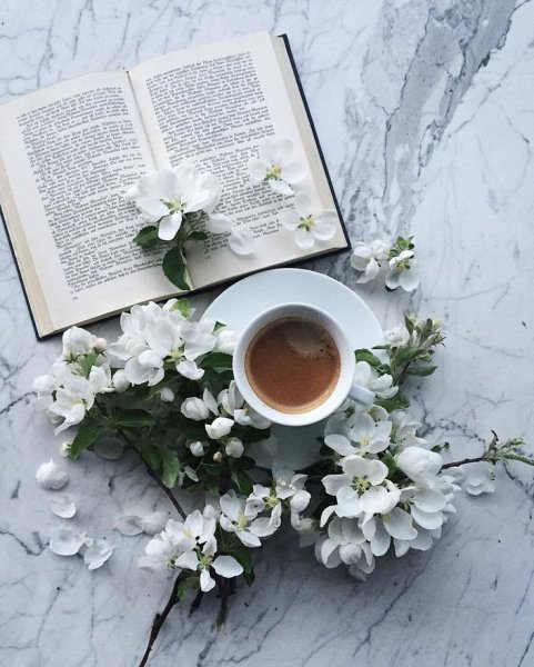 Книга кофе цветы