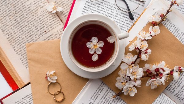 Заставки с кофе и книгой