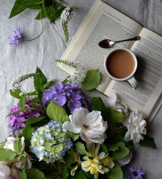 Книга кофе лето