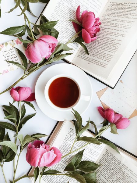 Нежные цветы и книги
