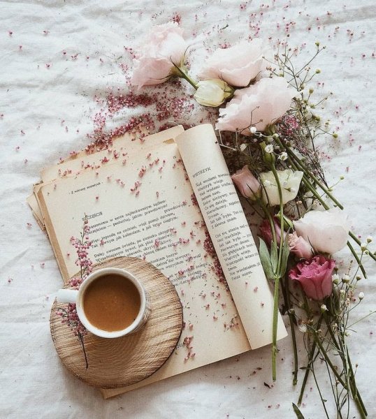 Нежные книги
