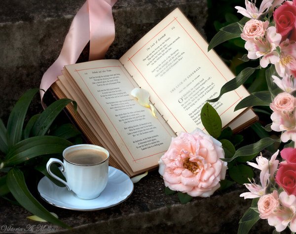 Книга о кофе