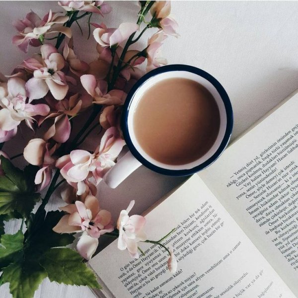 Книга цветы