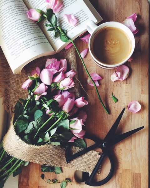 Сирень и книга
