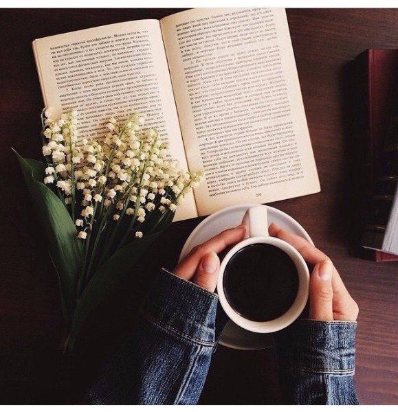 Книга "чай"