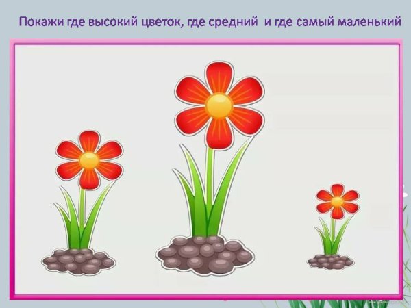 Цветы большой средний маленький