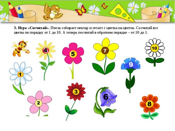 Сосчитай цветы
