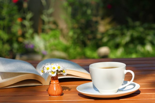 Книги цветы чай