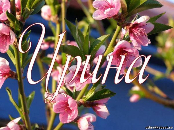 Цветочек для Ирочки