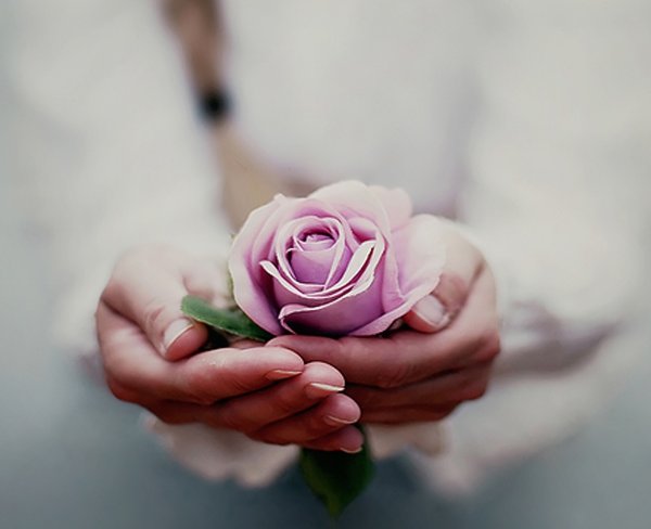 Женская рука с цветком