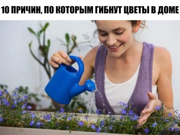 Девушка поливает цветы
