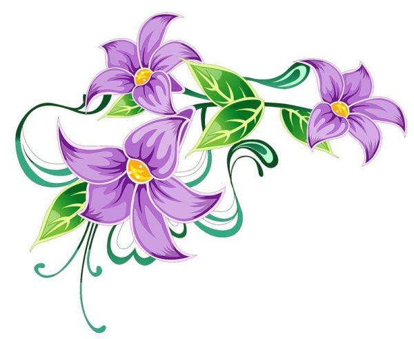 Плакат. Цветы