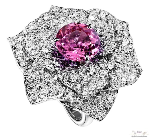 Limelight Piaget роза