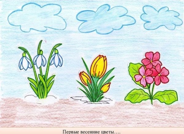 Рисование первых весенних цветов