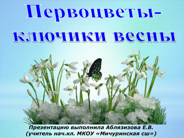 Первоцветы презентация