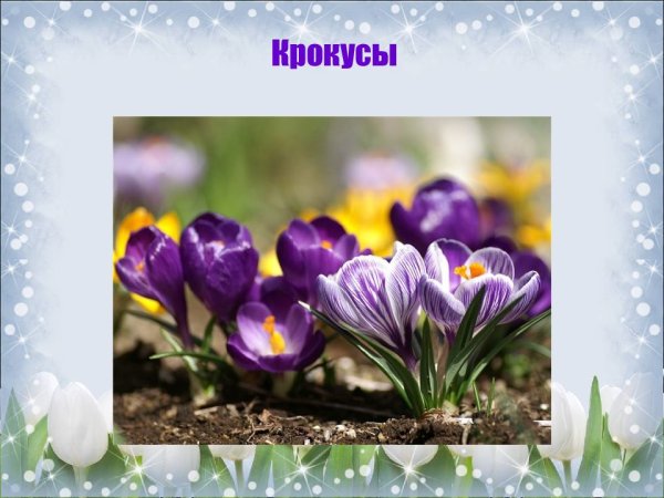 Первоцветы для детей