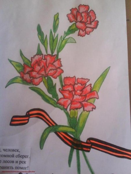 Рисунок цветов на 9 мая