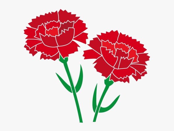 Стилизованная гвоздика