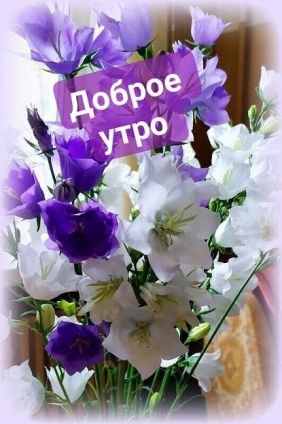 Доброе утро колокольчики
