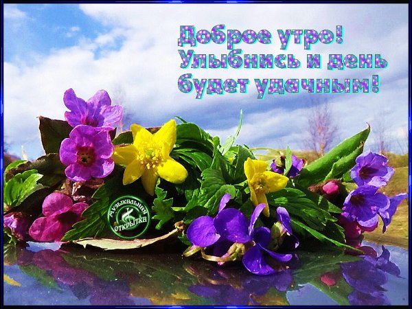 Пожелания с добрым утром Леночке