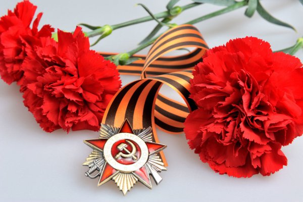 Георгиевская лента с гвоздикой