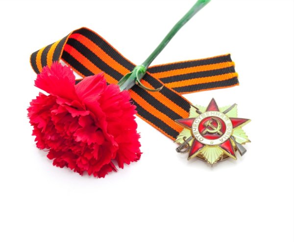 Гвоздики с георгиевской лентой