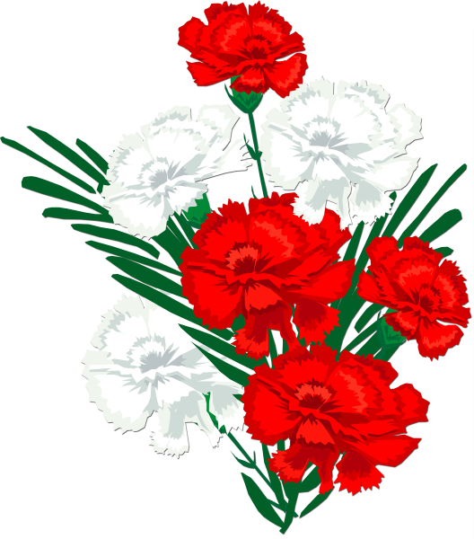 Букет гвоздик
