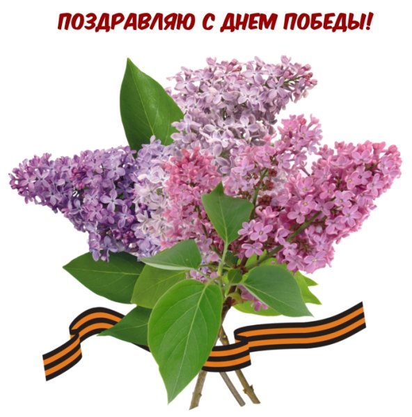 Цветы на 9 мая