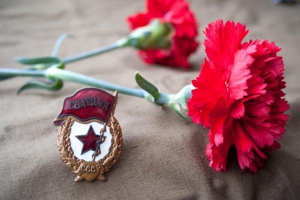 Георгиевская лента с гвоздикой