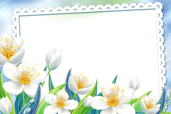 Обновлено: 61 PNG, цветочные рамки на прозрачном фоне, весенние цветы