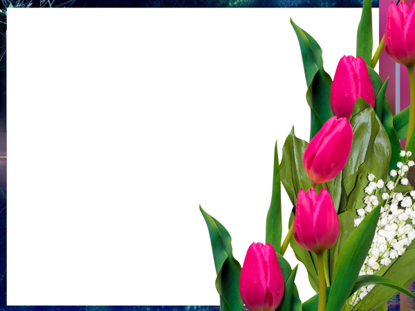 Красивые рамки тюльпаны