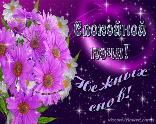 Цветы с пожеланием спокойной ночи