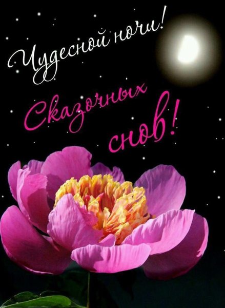 Спокойной ночи гиф