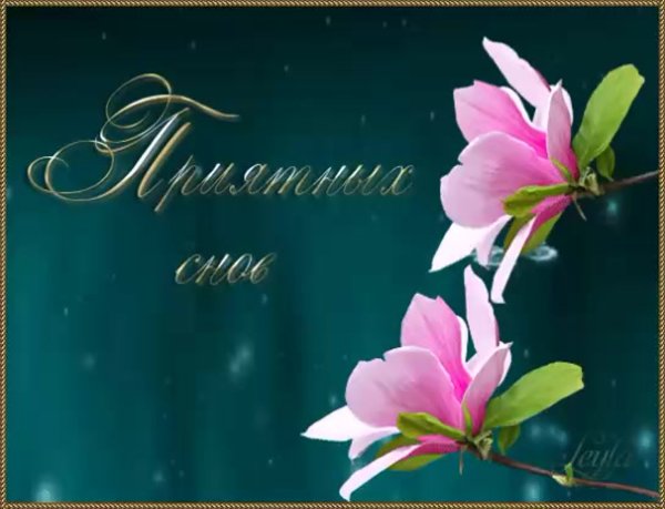 Цветы с пожеланием спокойной ночи