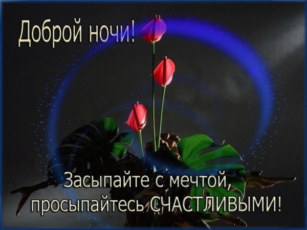Открытки спокойной ночи