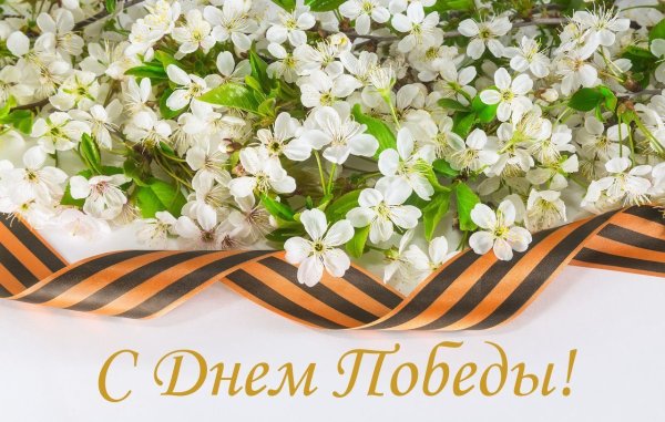 День Победы сирень и Георгиевская лента