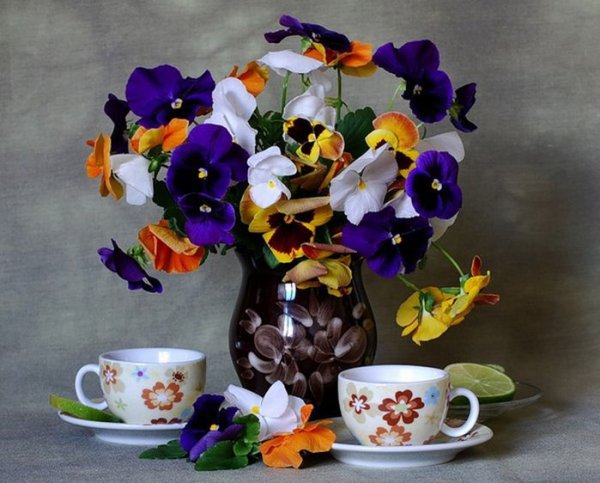 Анютины глазки натюрморт still Life