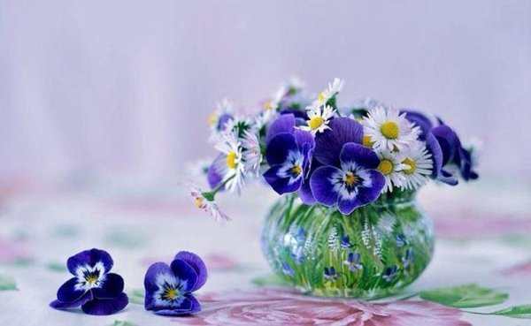 Анютины глазки композиция