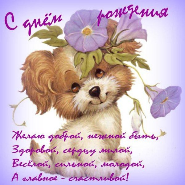 С днём рождения гифки
