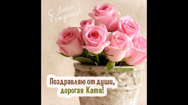 Поздравления с днём рождения Катя