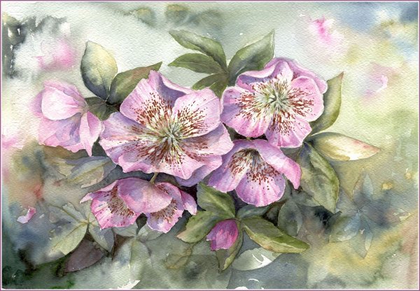 Художник Yvonne Harry